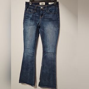 Daytrip Lynx Flare 27L